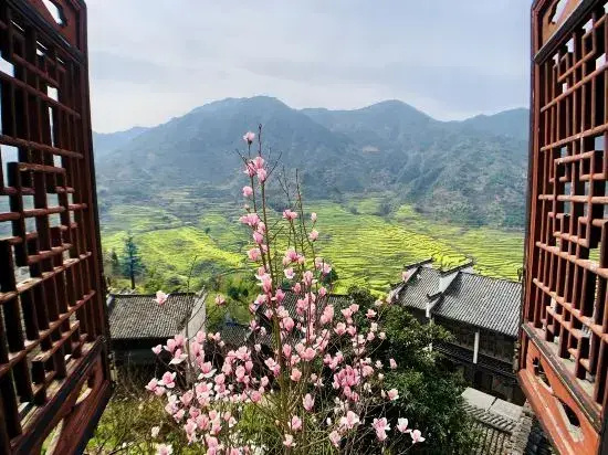Wuyuan Alley to Homestay (Guling Scenic Area)