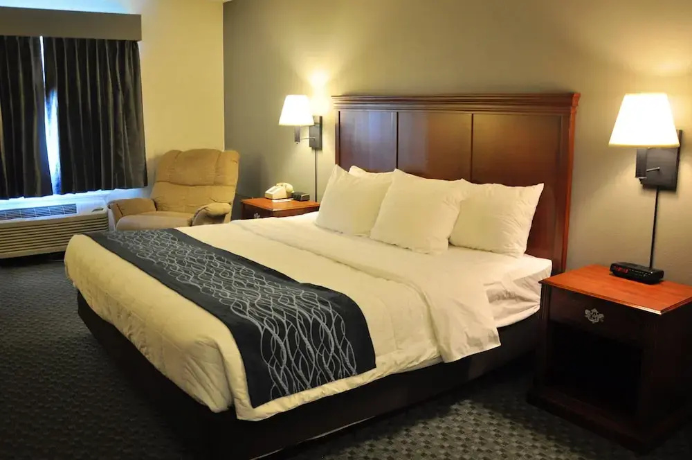 Comfort Inn - фото 7