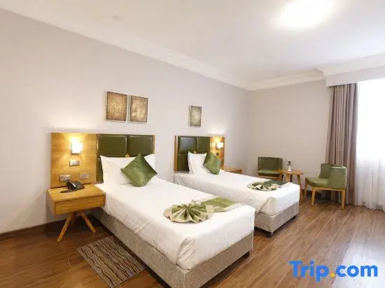 Superior Double room (twin beds)