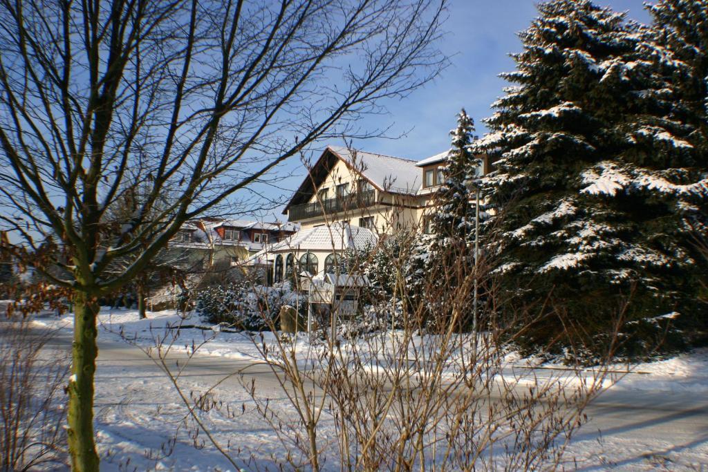 Image 11
