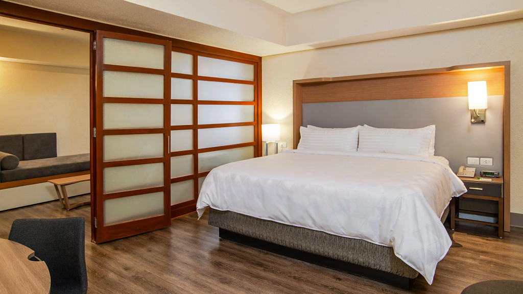 Holiday Inn Mexico Coyoacan - Général
