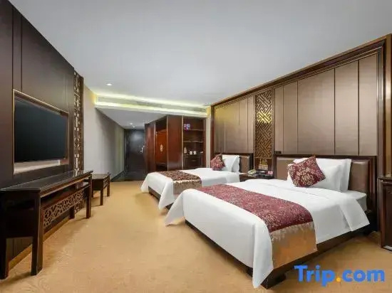 Deluxe Double room with city view (twin beds)