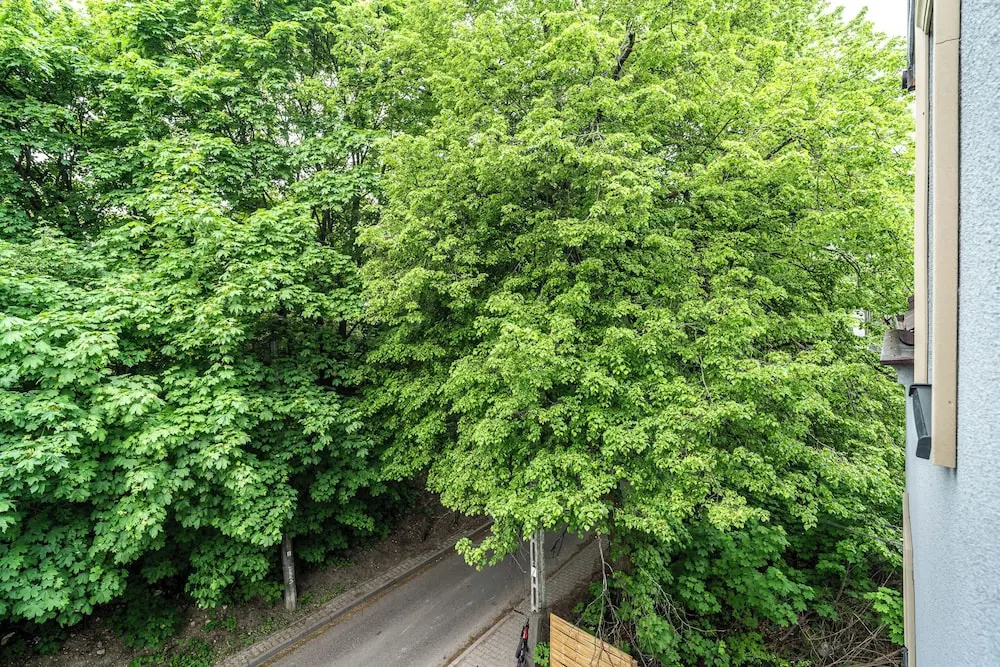 RentPlanet - Apartament Lanckorońska