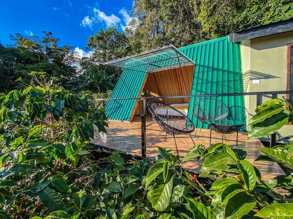 Tityra Lodge