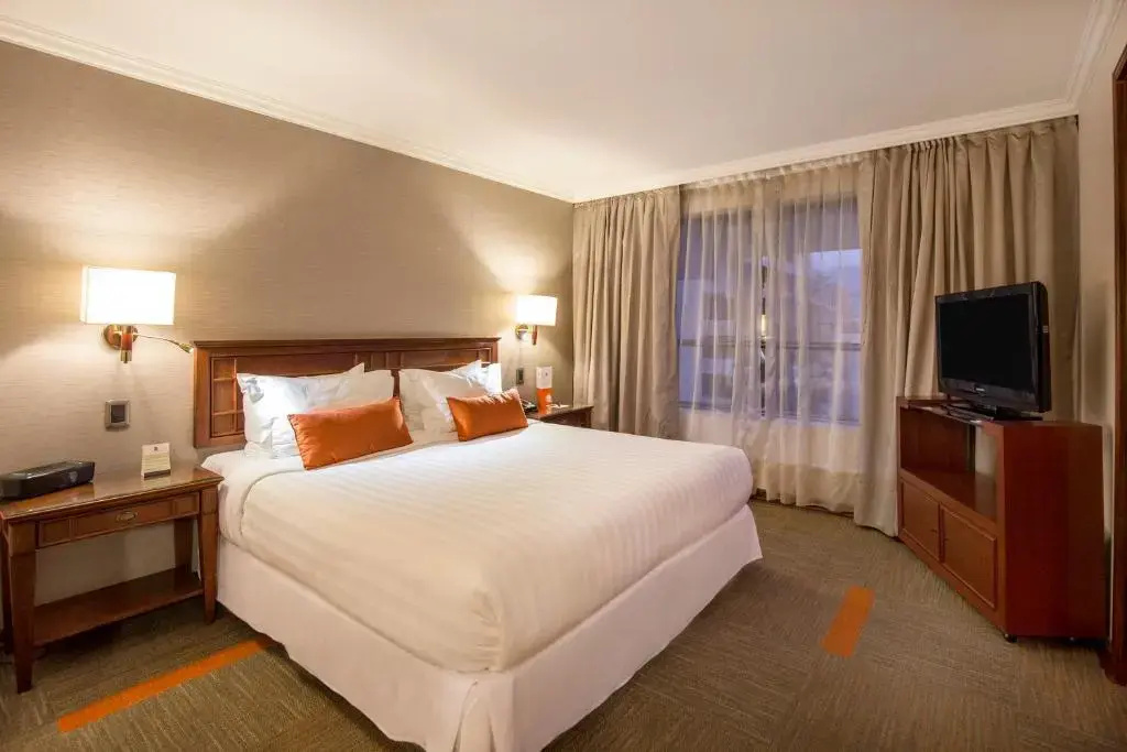 Hotel Plaza El Bosque Ebro - Chambres
