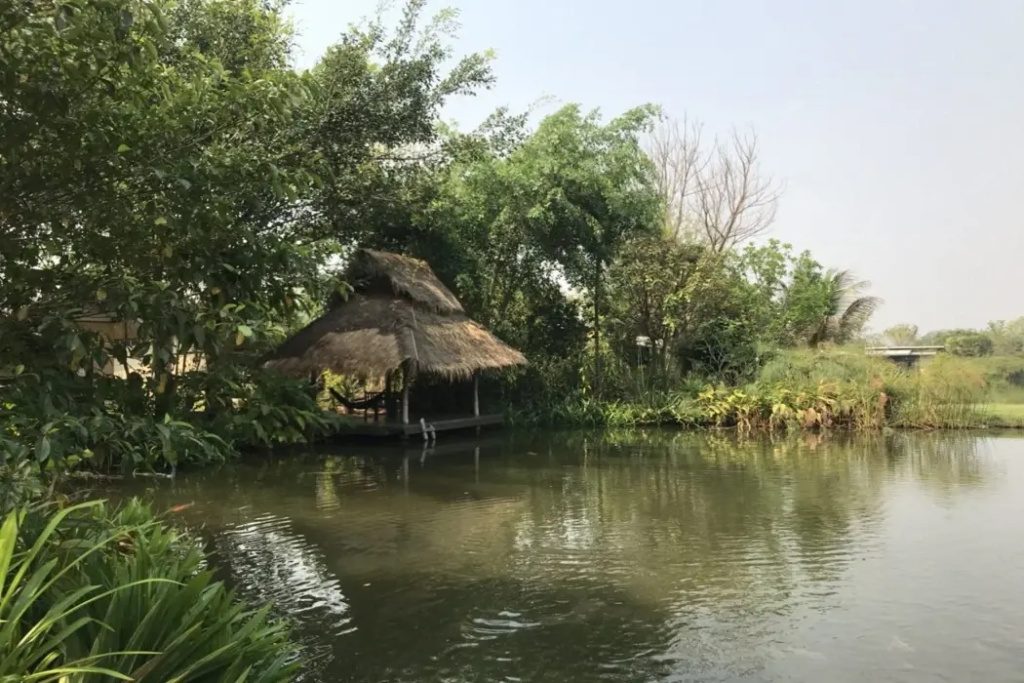 Bueng Pai Farm