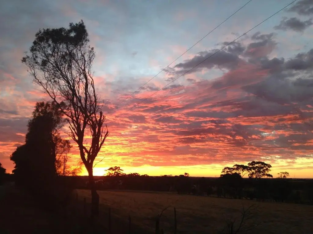 MowenSprings