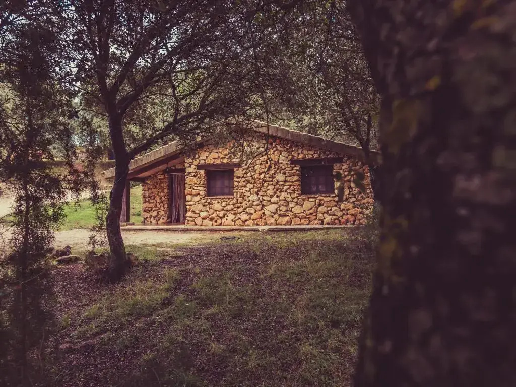 Cabañas Rio Mundo