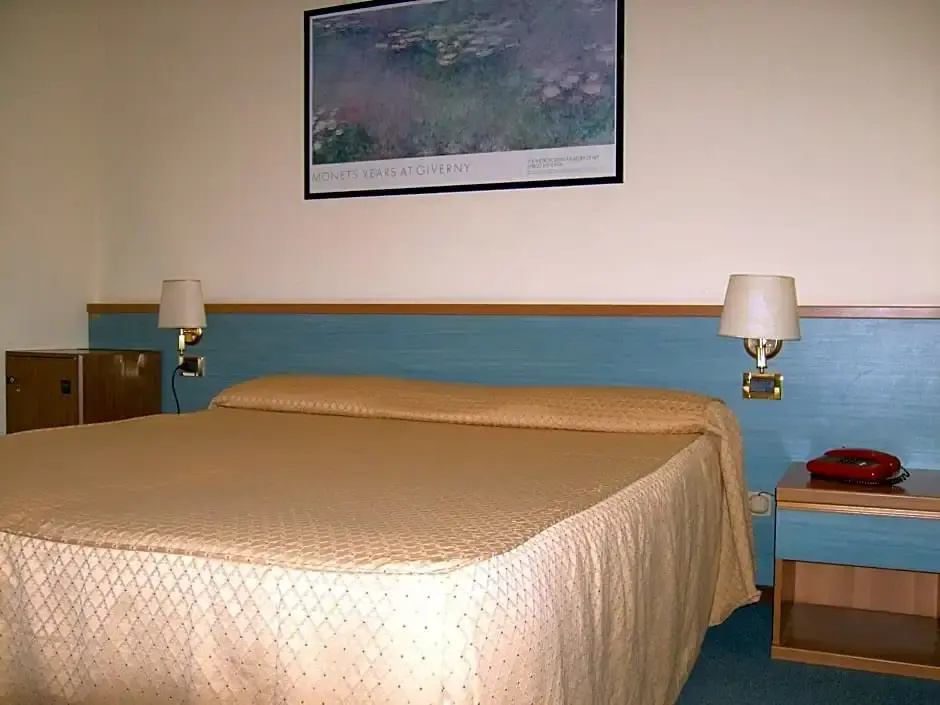 Standard Double room (full double bed)