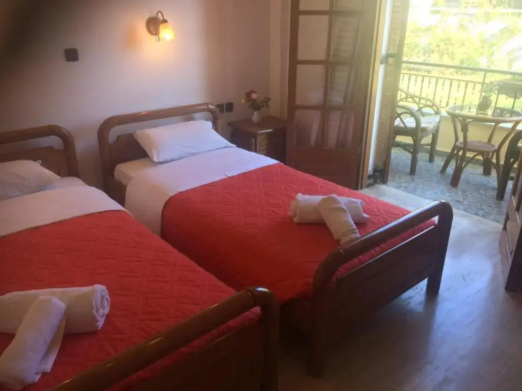 Standard Double room (full double bed)