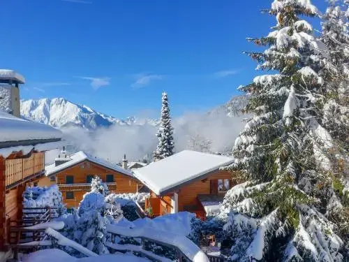 Apartment Boule de Neige