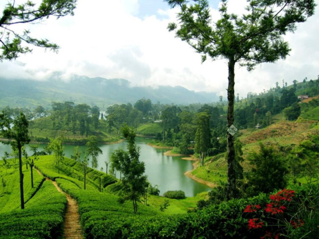 Непал шри ланка. Нувара Элия Шри. Нувара Элия Ботанический сад. Шри Ланка природа. Шри Ланка Цейлон.