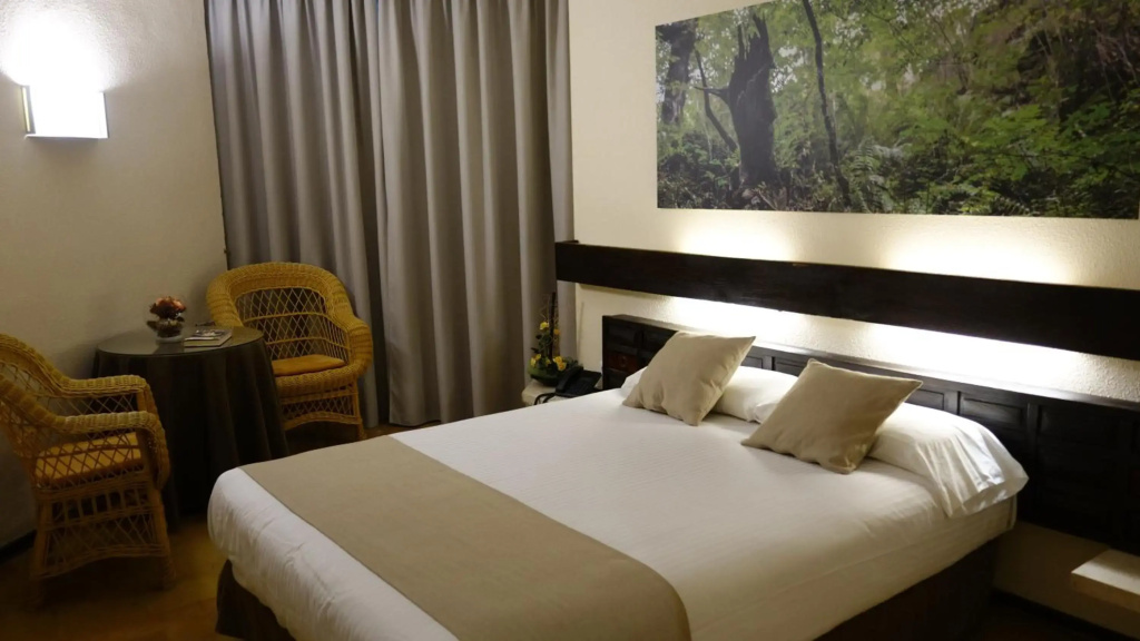 Hotel Baztán - Général