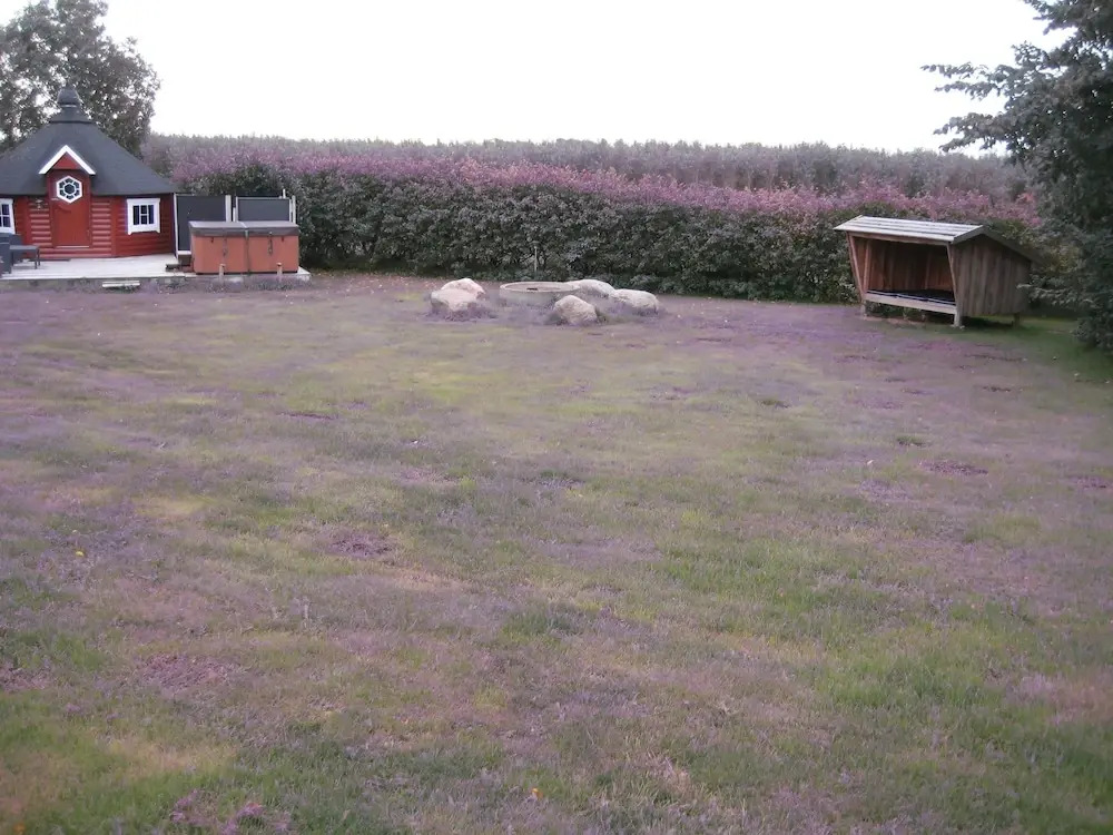 Image 15