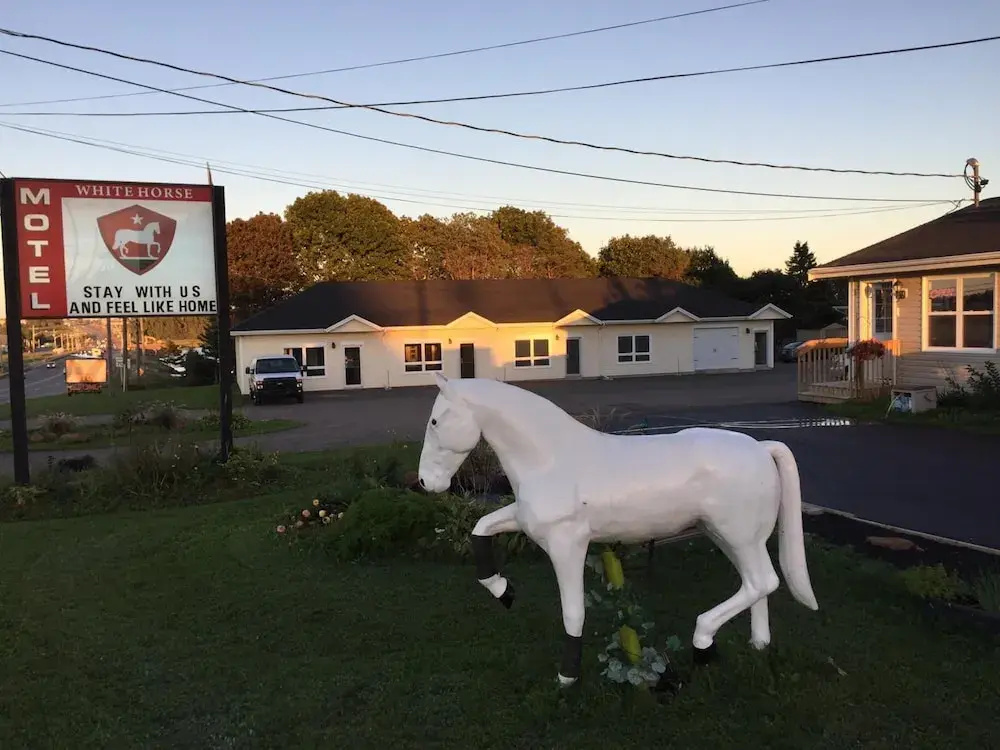 The White Horse Motel - фото 11