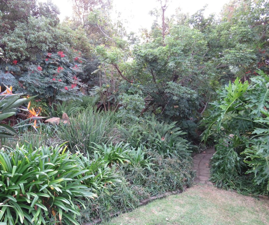 Green Pascua Guesthouse
