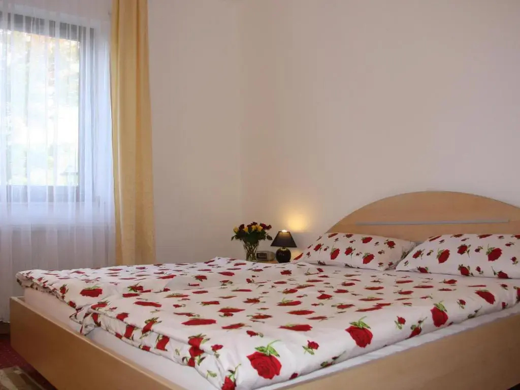 Hotel Haus Salzberg - Général