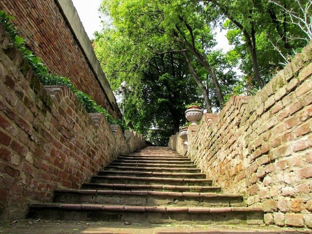 Image 13