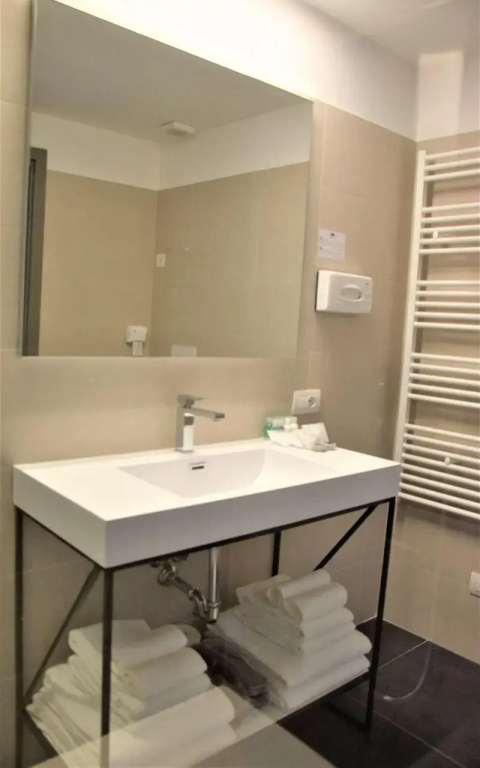 Deluxe Double room with balcony and with lake view (full double bed)