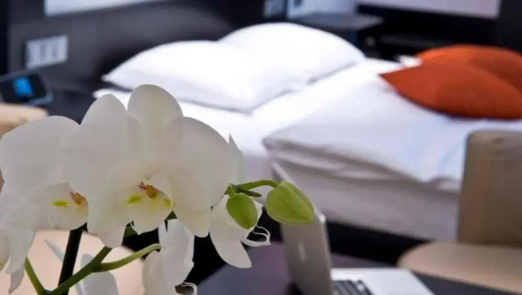 Cocoon Hotel La Rive - Chambres
