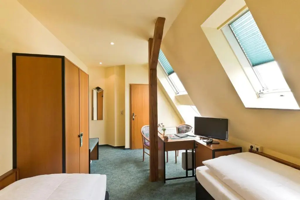 Standard Double room (full double bed)