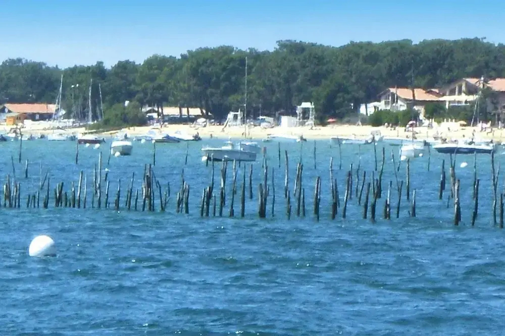 Voir la photo 1 — Heritage Mansion on Arcachon Bay