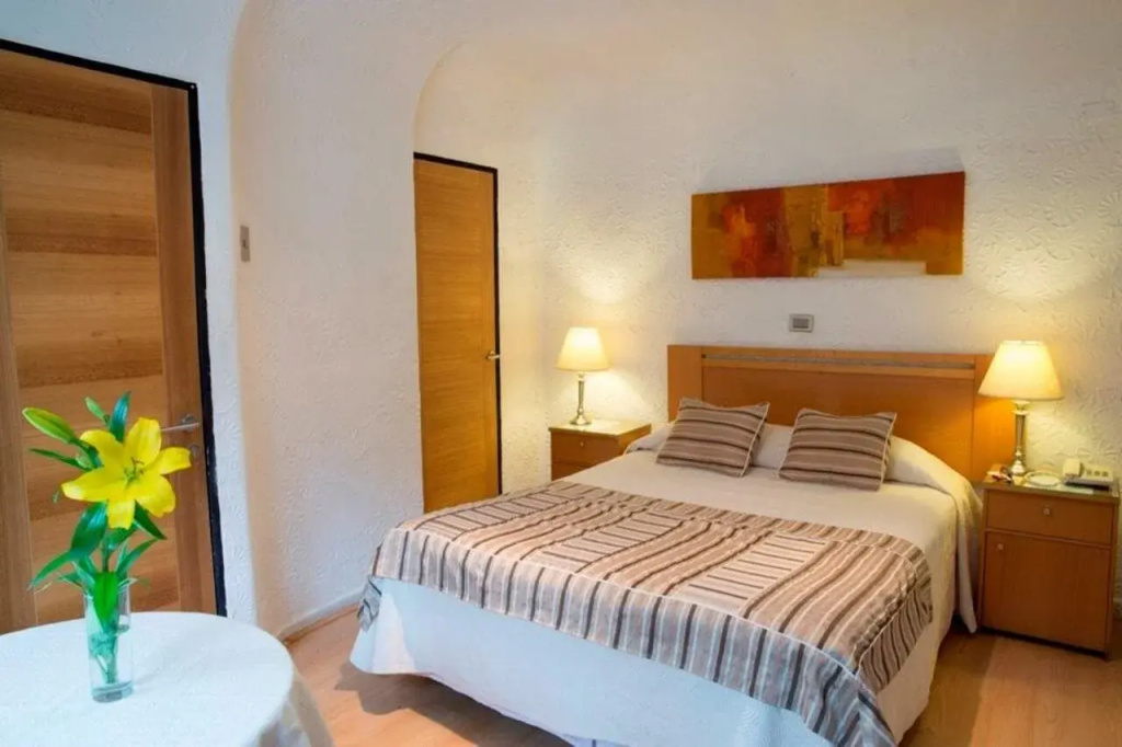 Hotel Montecarlo Santiago - Général