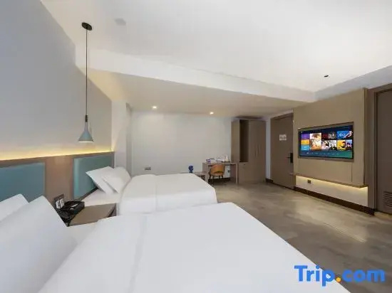 Deluxe Double room (twin beds)