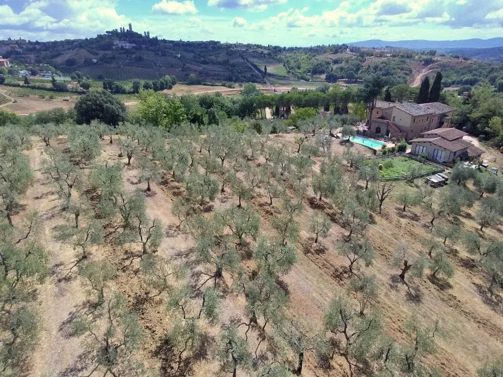 Agriturismo I Pini