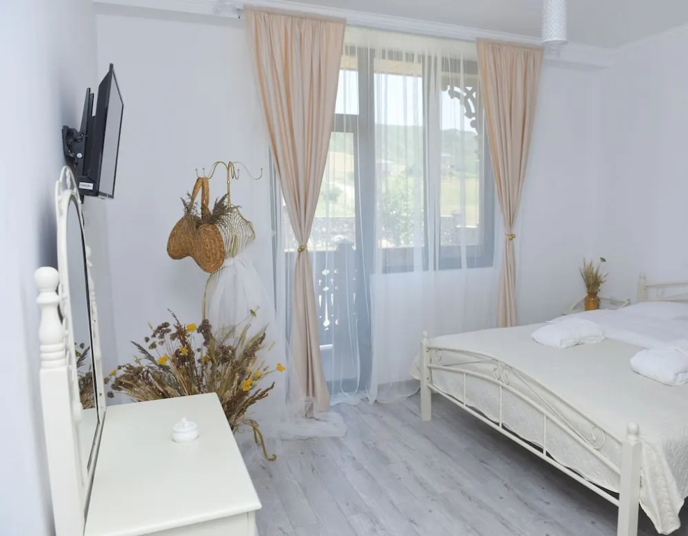 Standard Double room with mountain view (full double bed)