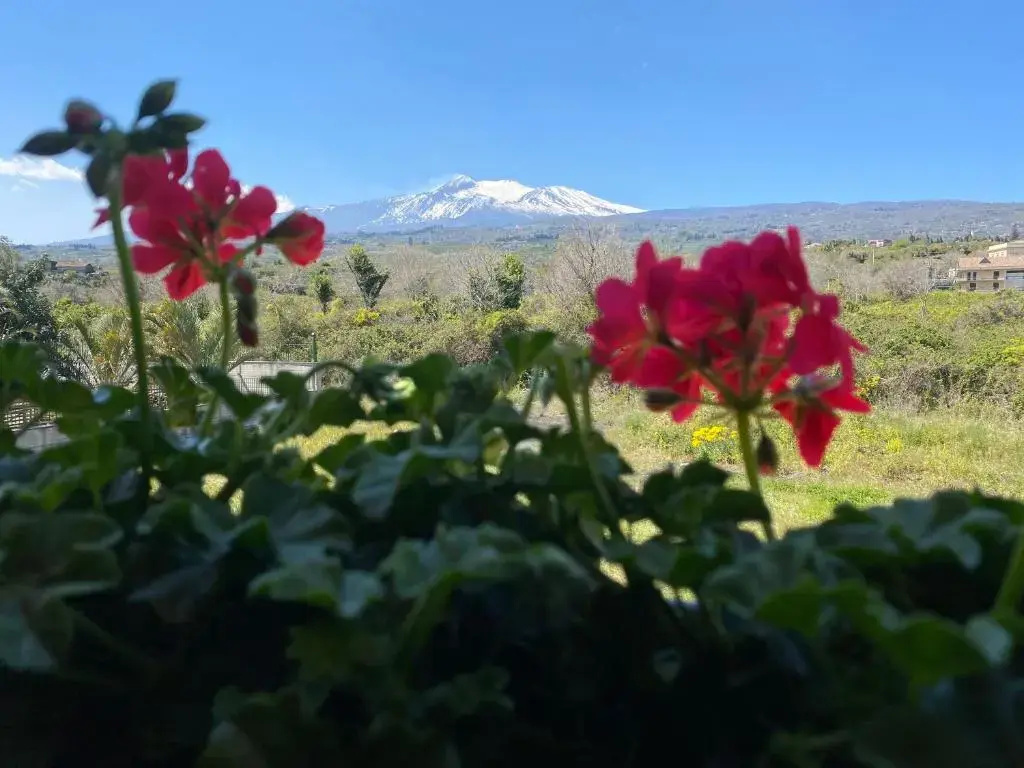 MA Giurati Suites