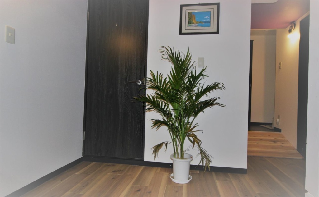 Nakayama Guesthouse 사진 18