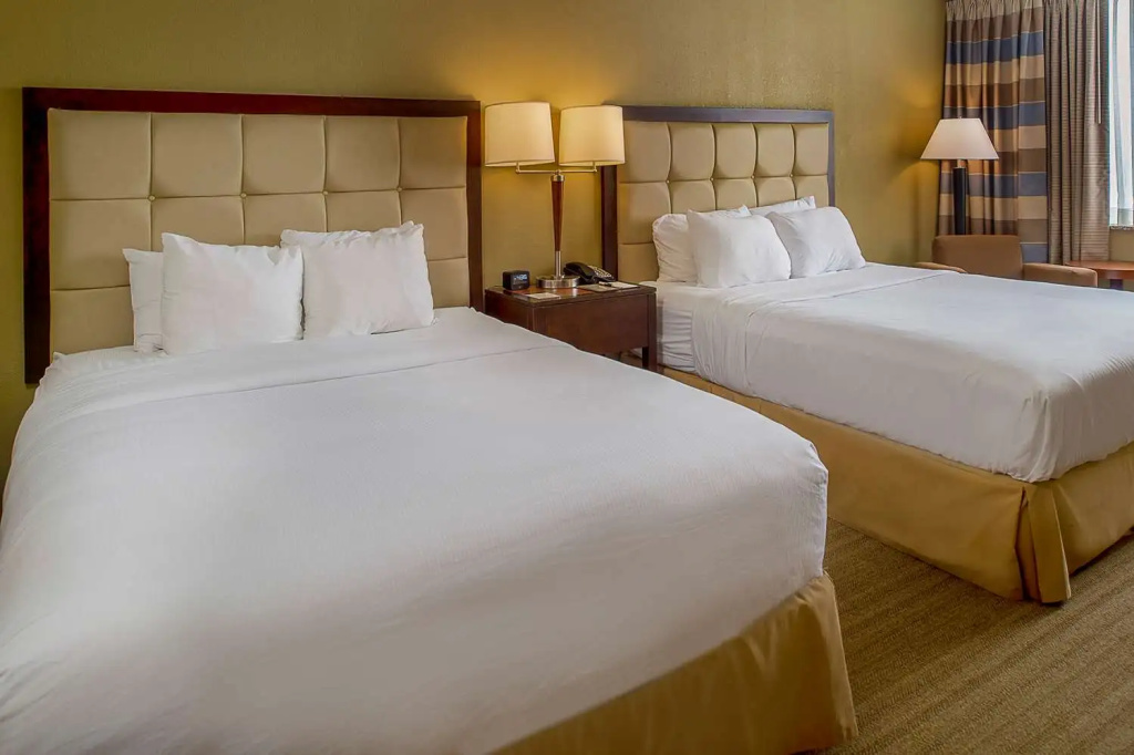 DoubleTree by Hilton St. Louis - Westport - Chambres