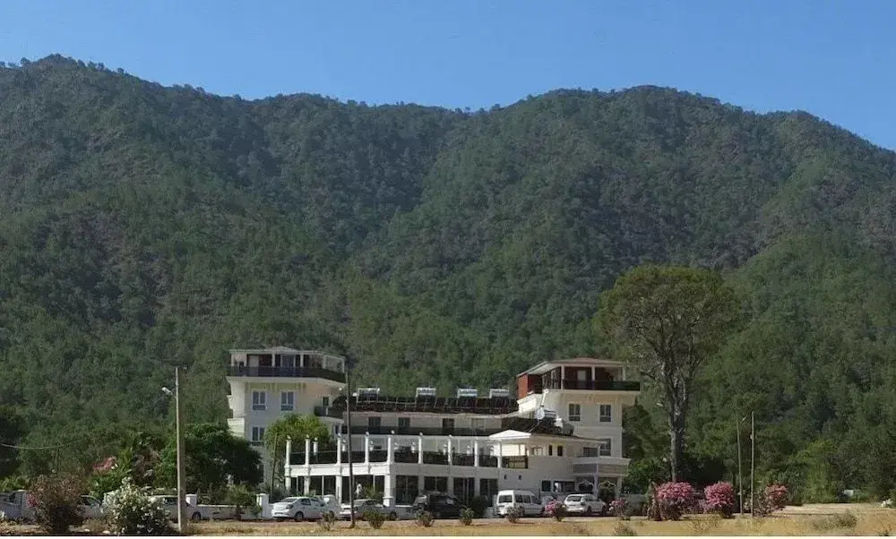 Hotel photo 12