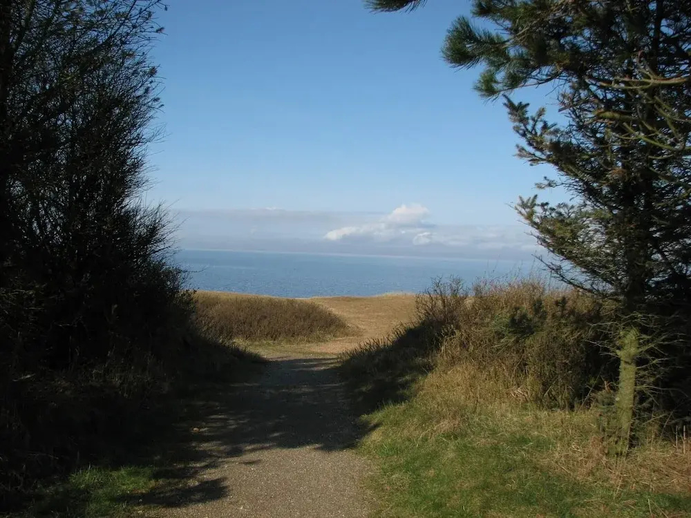 4 Star Holiday Home in Tarm