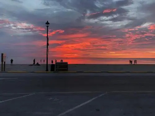 Plovers Cove Cottage