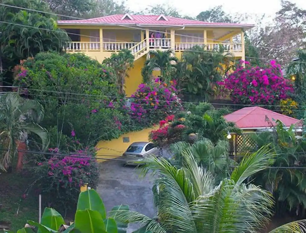 Hibiscus Heights