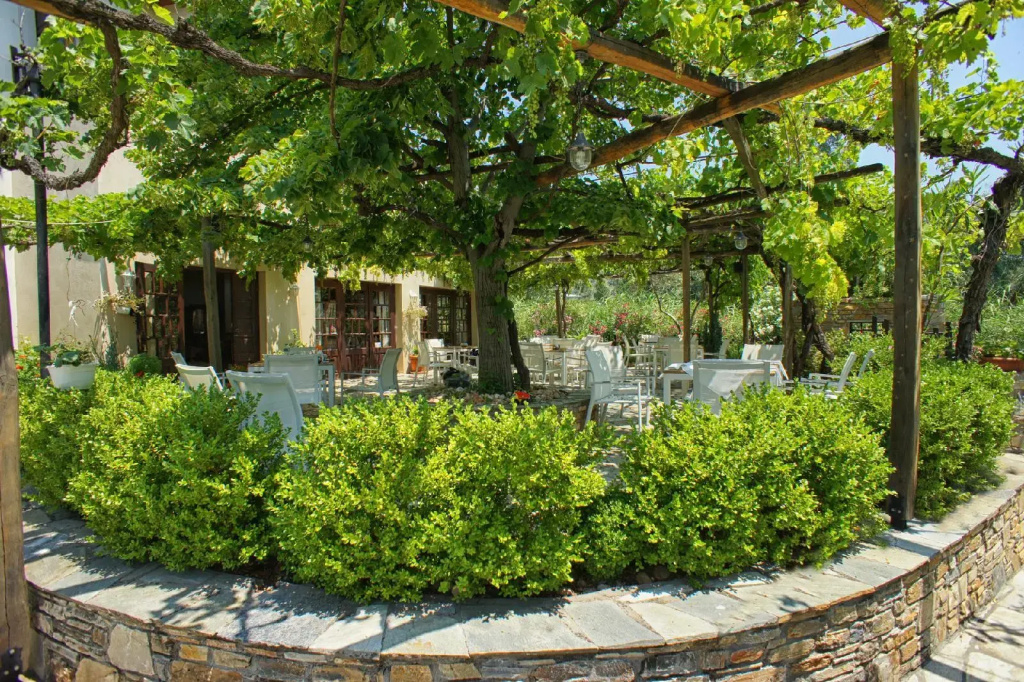 Saily Beach Hotel