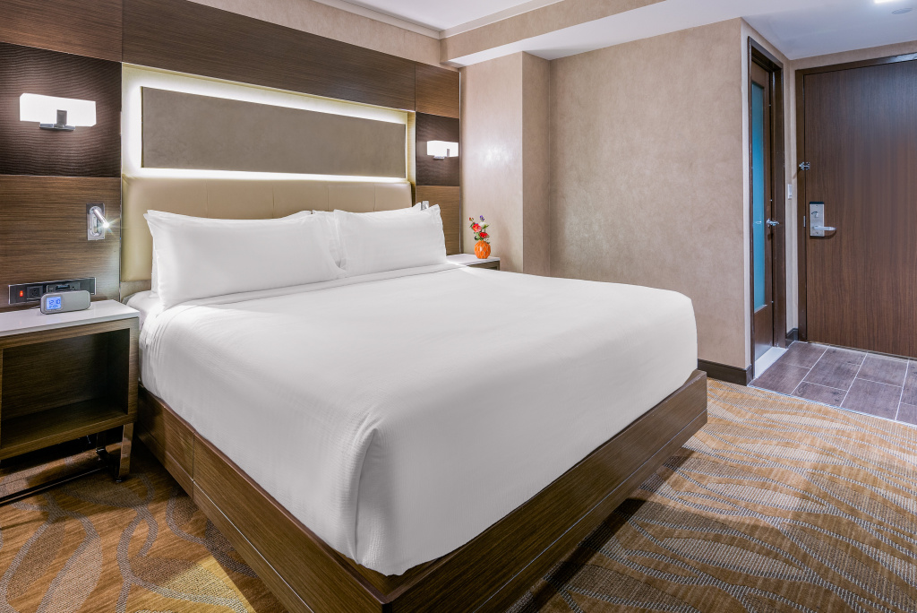 Holiday Inn Brooklyn Downtown by IHG - Général