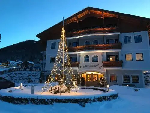 Apart Pension Wesenauerhof