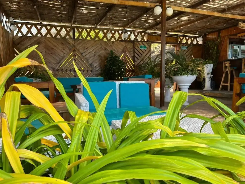 Hotel Playa Surf Barú