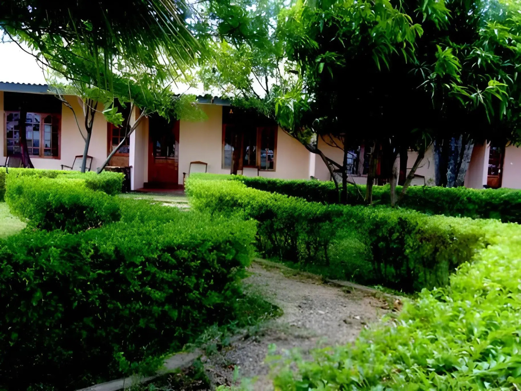 Wila Safari Hotel - Général