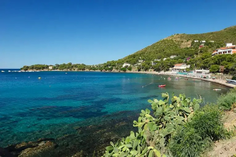 Beach & Waterfront