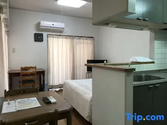 Standard Double room with city view (full double bed)