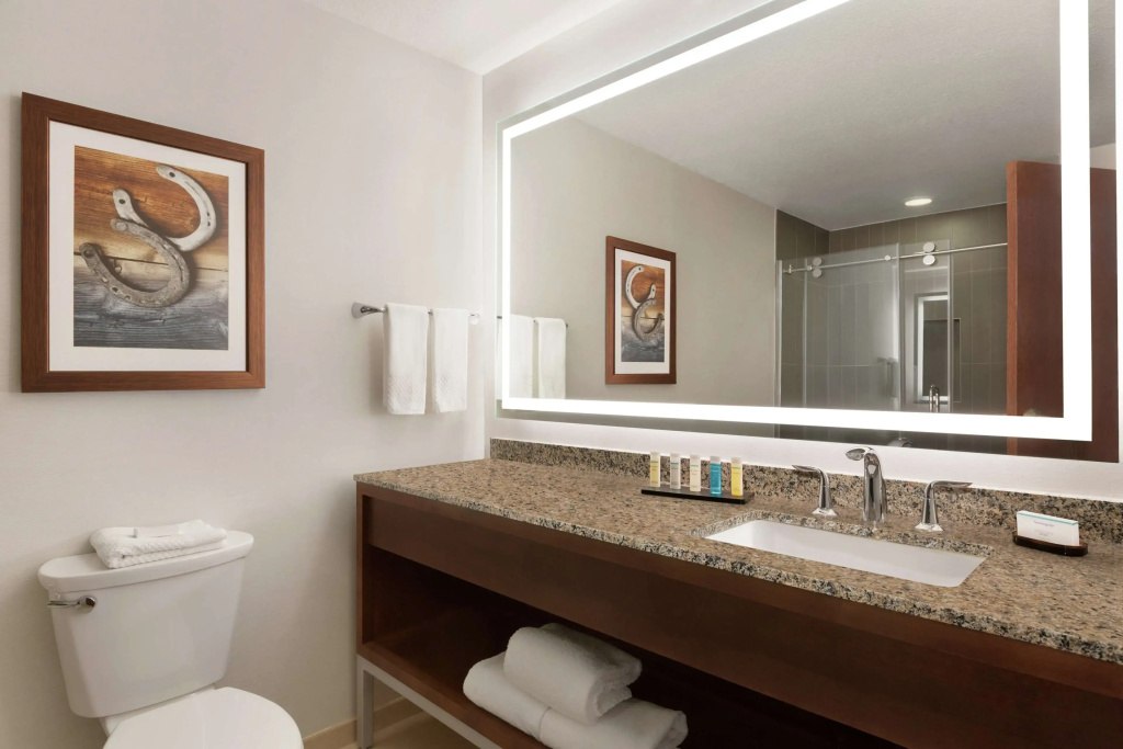 Embassy Suites by Hilton Dallas DFW Airport North - Général