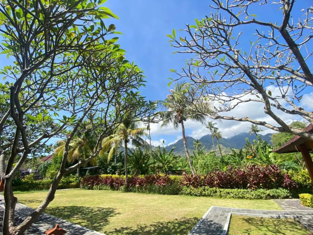 Badini Homestay Pemuteran Bali