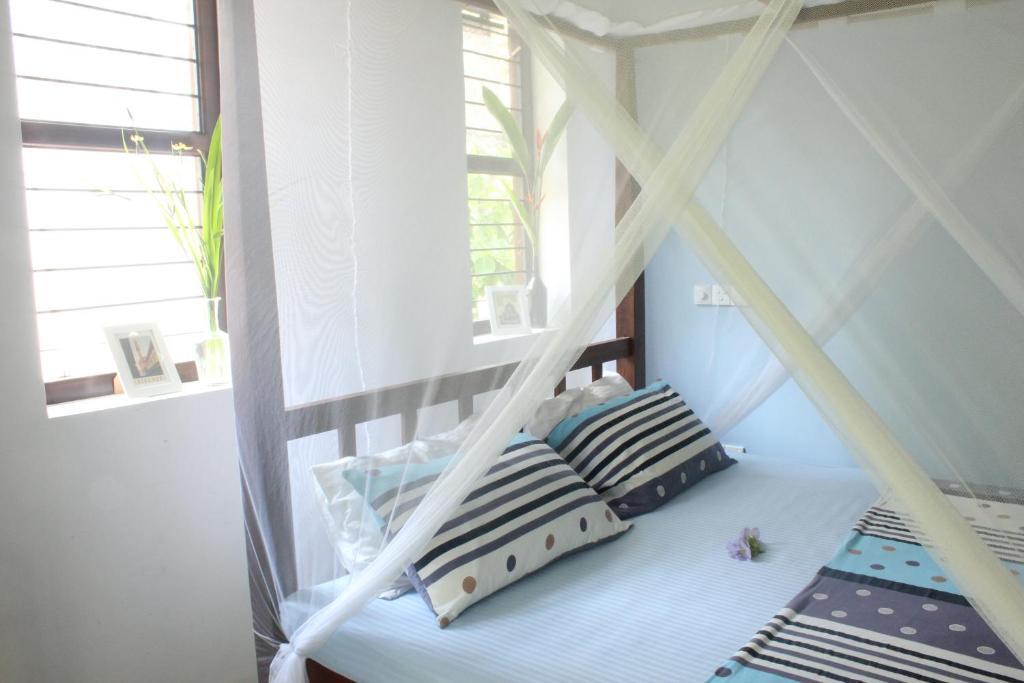 Dionis Villa