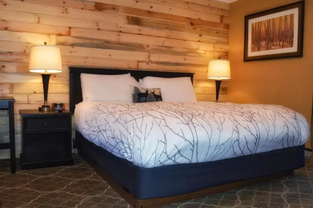 Deluxe Double room with river view (full double bed)