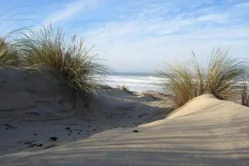 Beach & Waterfront