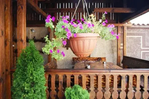Balcony & Terrace
